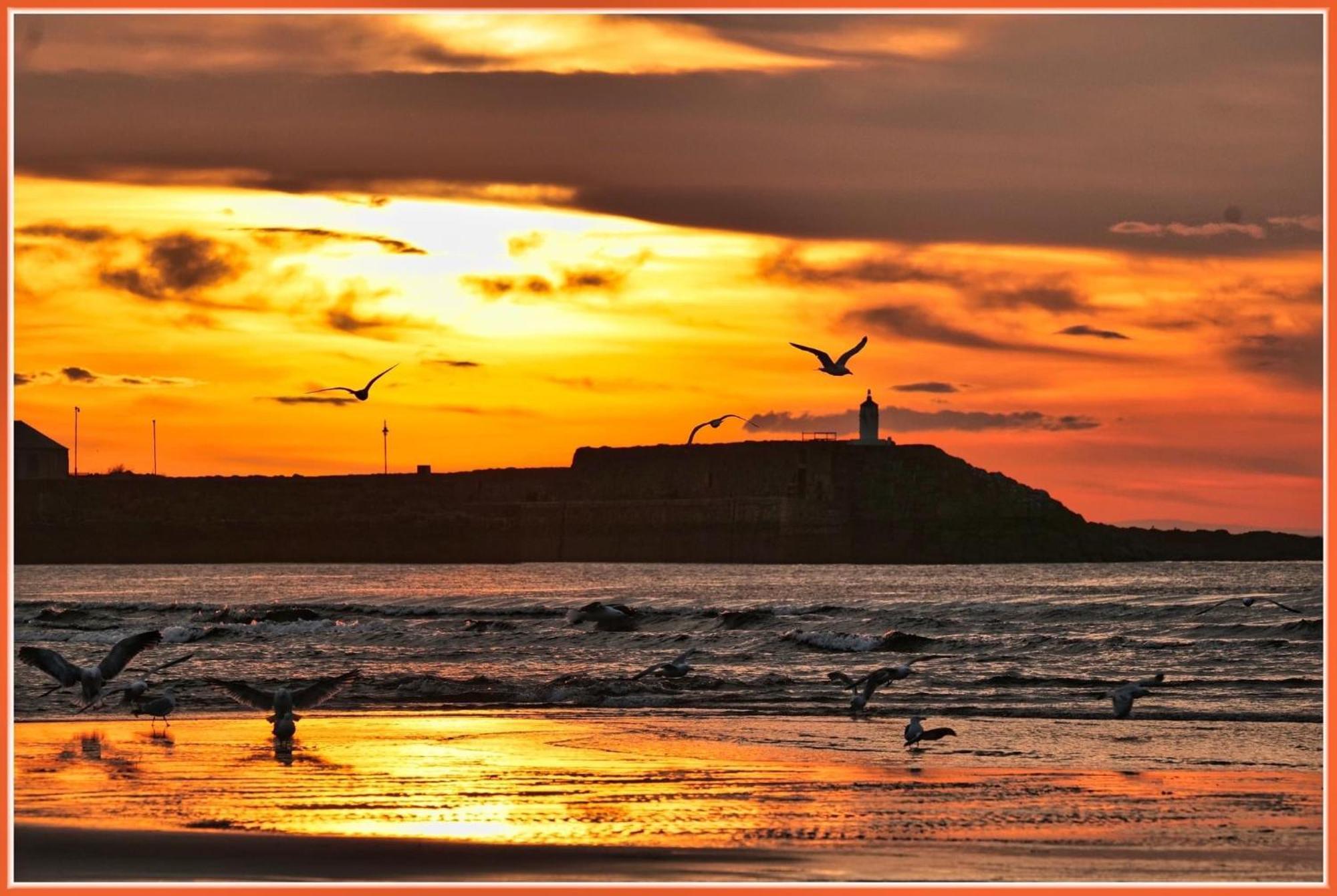 Moray View, Macduff, Aberdeenshire. Kültér fotó